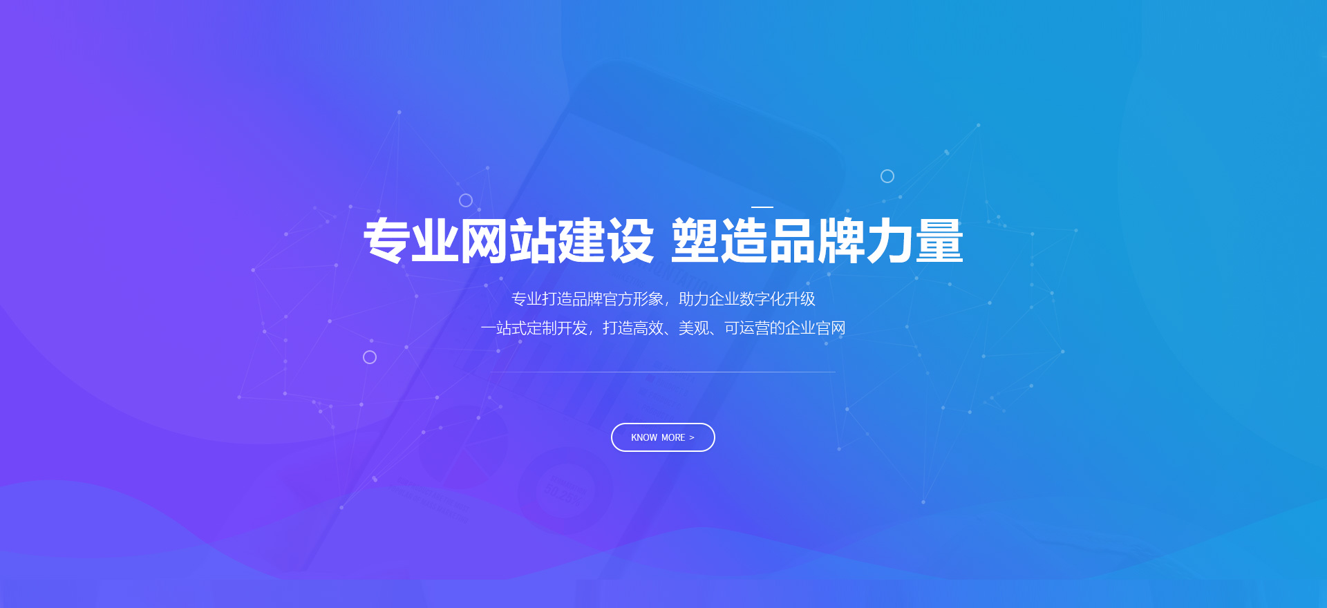 沙雅建站-专业网站建设 塑造品牌力量